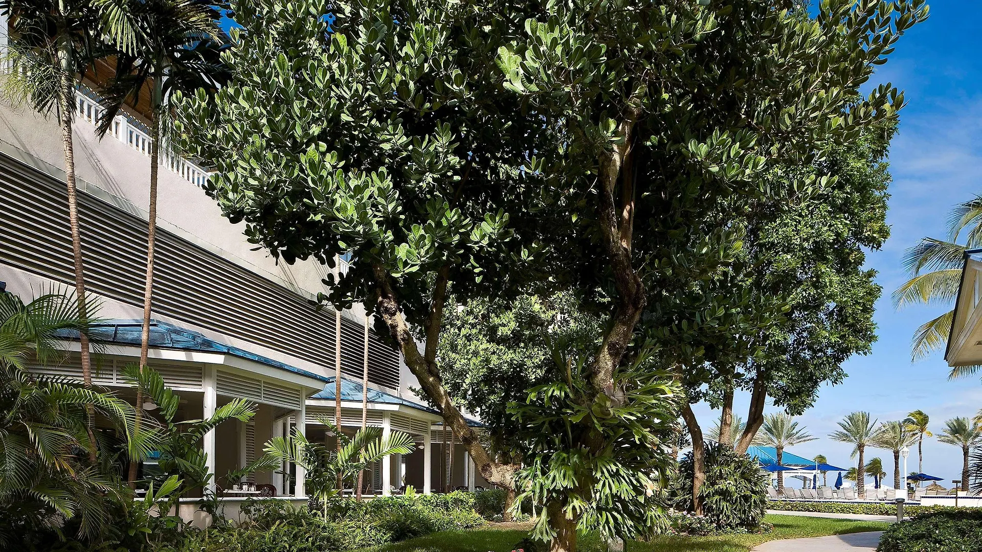 Melia Nassau Beach Resort